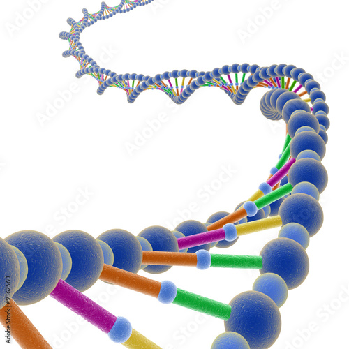 DNA 1 photo