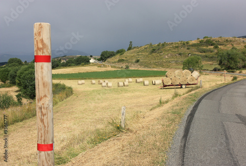 Cuadro en lienzo moisson en montagne