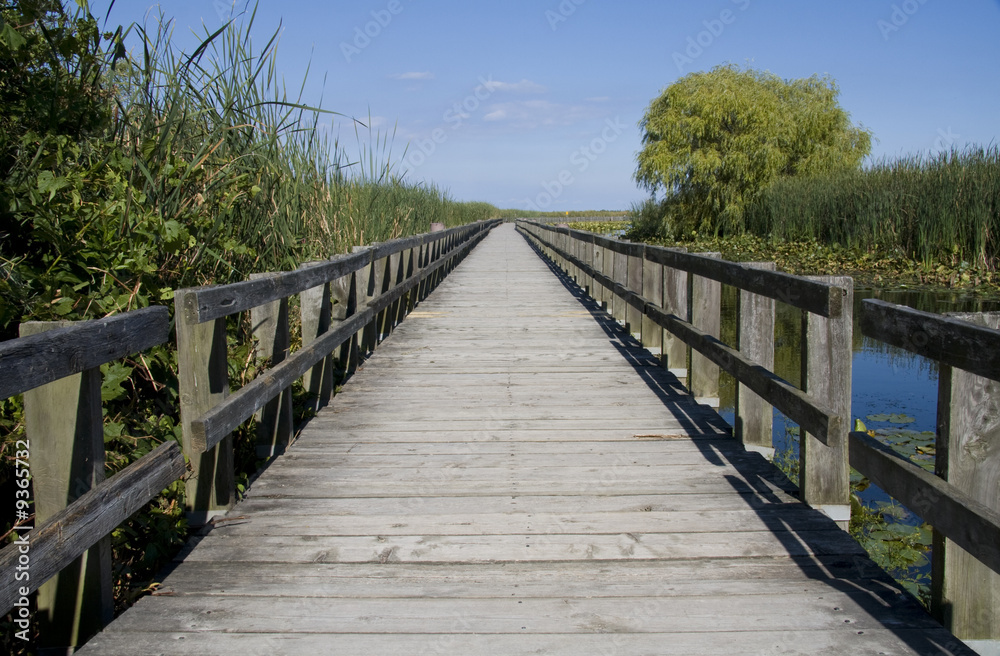 Entrance to the marsh at Point Peele