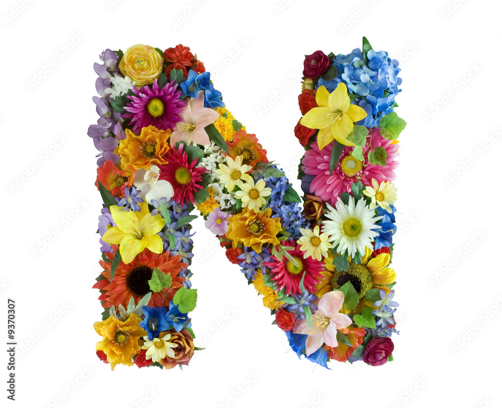Flower Alphabet - N Flower Alphabet - N