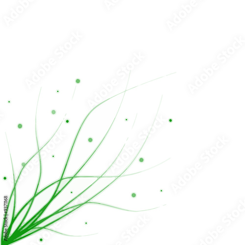 HERBE