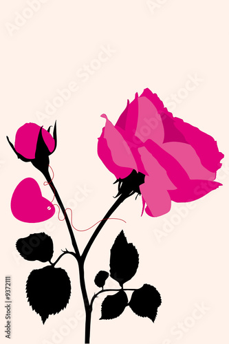 étiquette rose