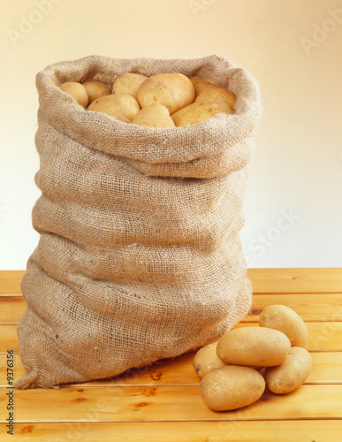 Sacco di patate photo