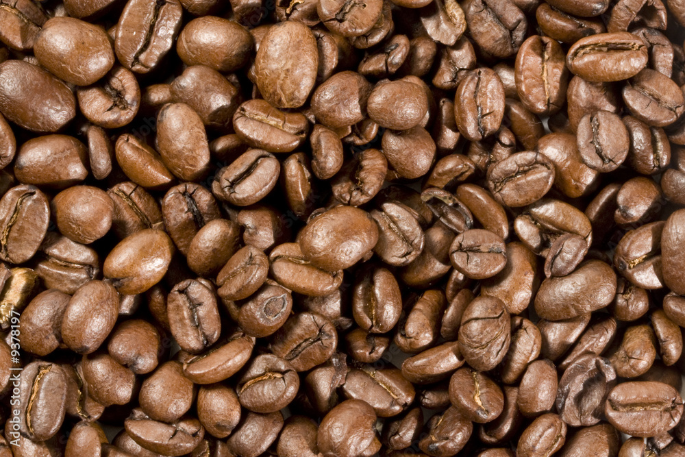 pattern di chicchi di caffé