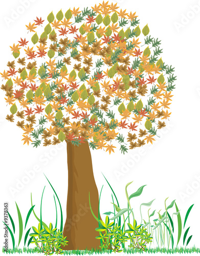 albero d'autunno