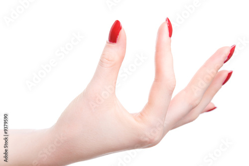 Foto Elegant woman hand. Isolated on white.