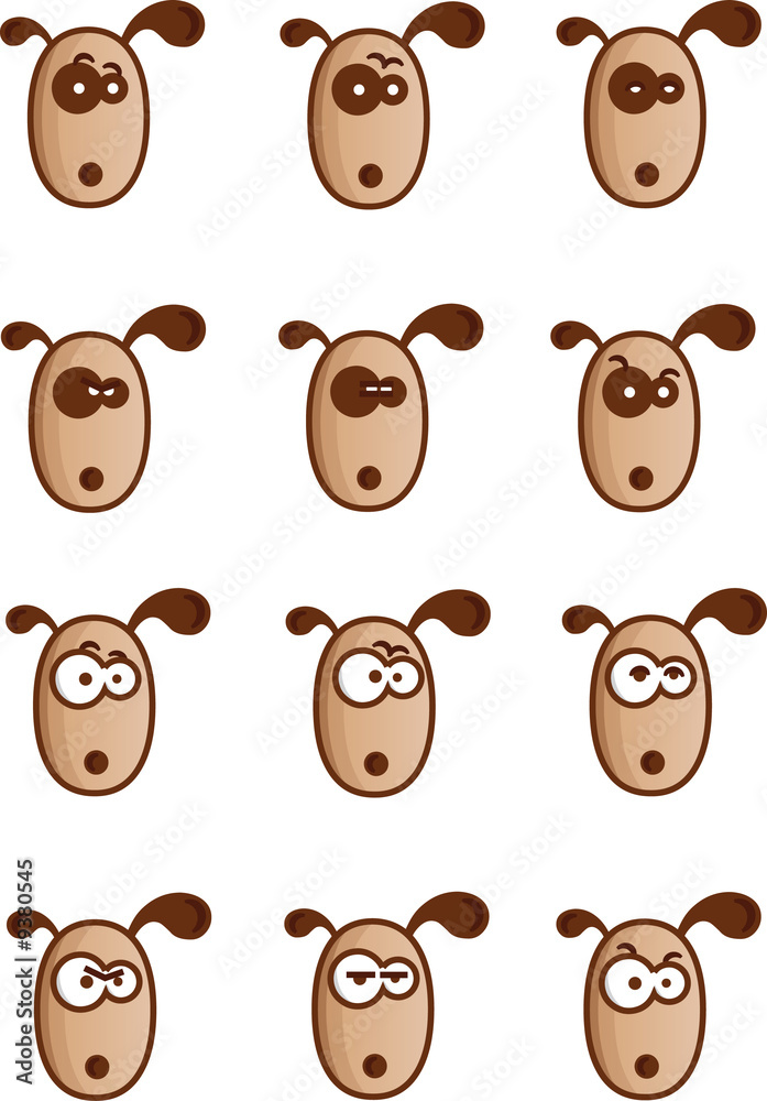 Fototapeta premium Dogs faces