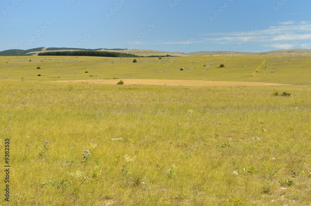 Causse mejean