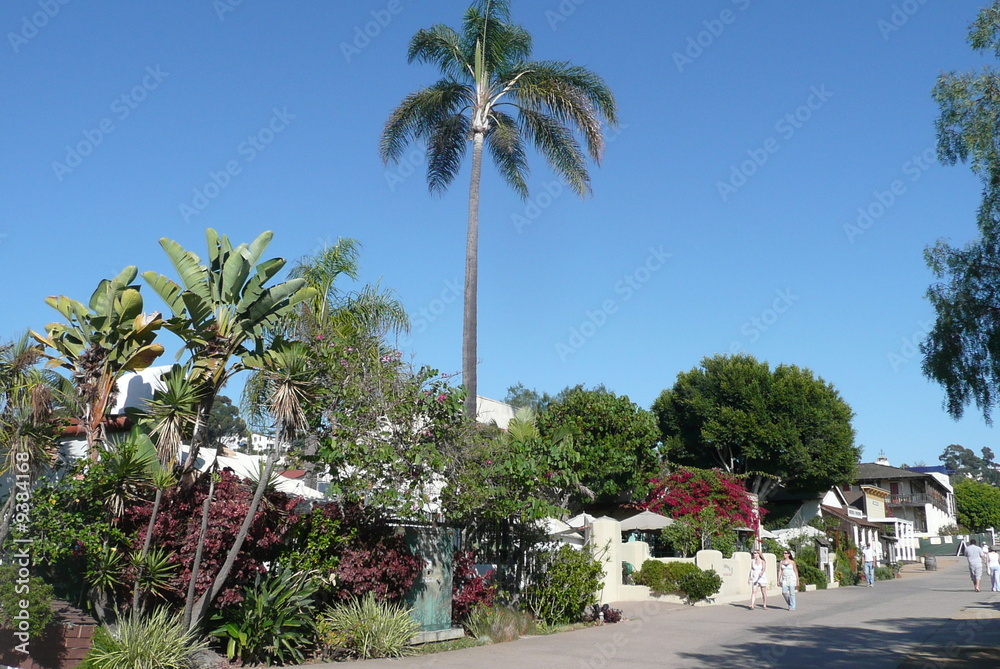 Fototapeta premium san diego