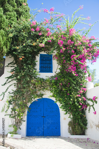 Beautiful gate of Sidi Bou Said,Tunisia photo