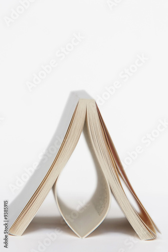Εκτύπωση καμβά LIVRE POSE