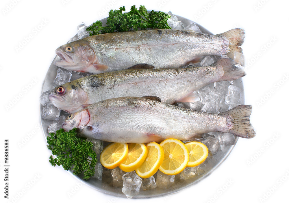 Three fresh trout on plate with ice on white background Three fresh trout on plate with ice on white background