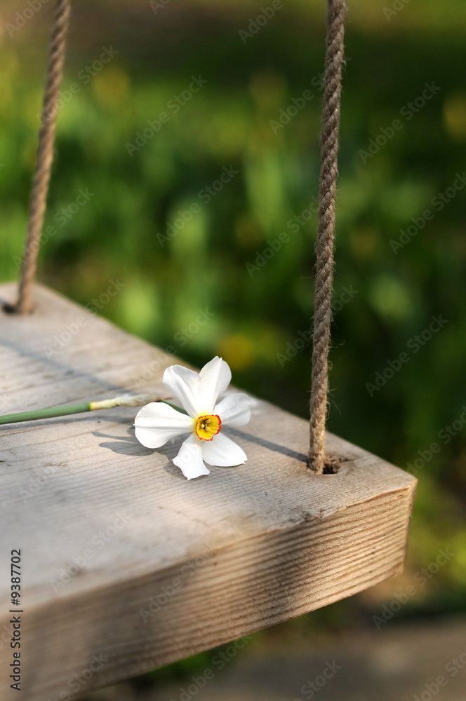 Fototapeta premium Spring flower