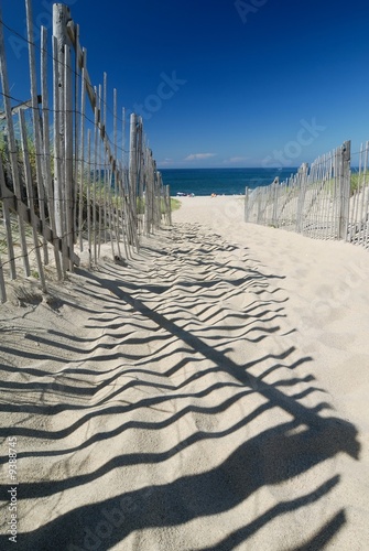 Footpath in the perfect sand heading to the beach