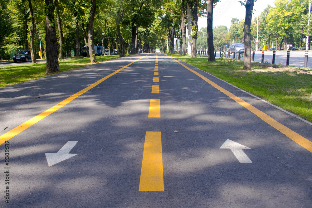 City bike lane along shady wooden street City bike lane along shady wooden street