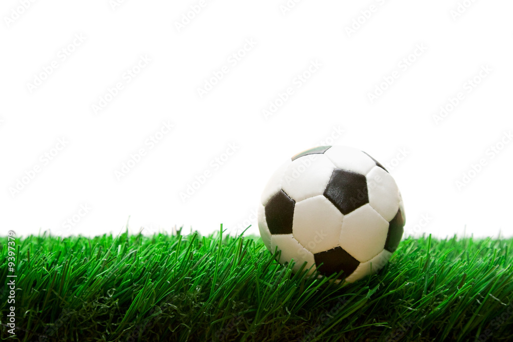 soccer ball on the grass isolated on white soccer ball on the grass isolated on white