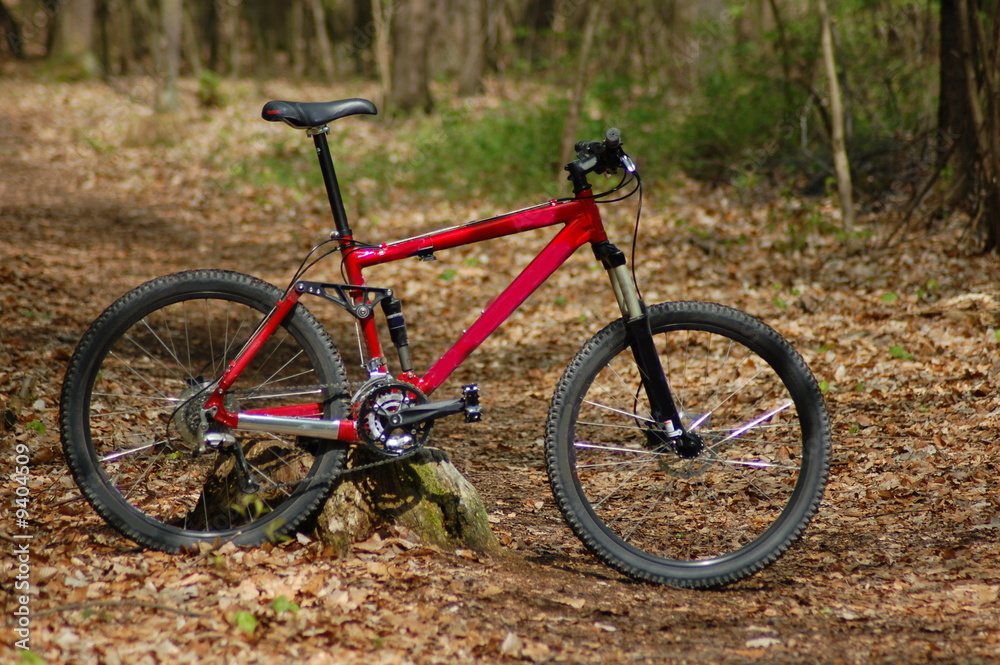 classic mountainbike which is often used in sports.