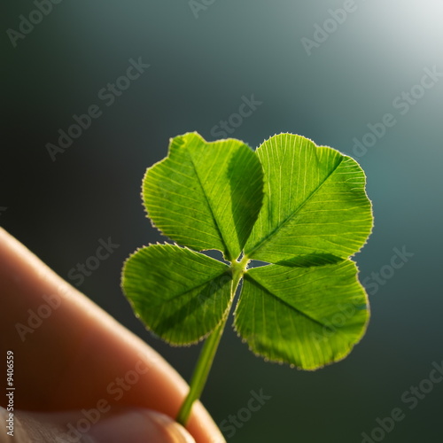 Hand holding a four leaf clover on the ground