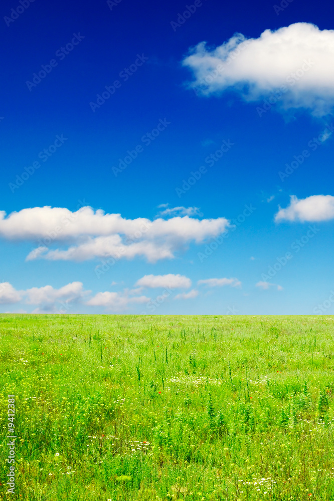 meadow and the beautiful blue sky covered by clouds
