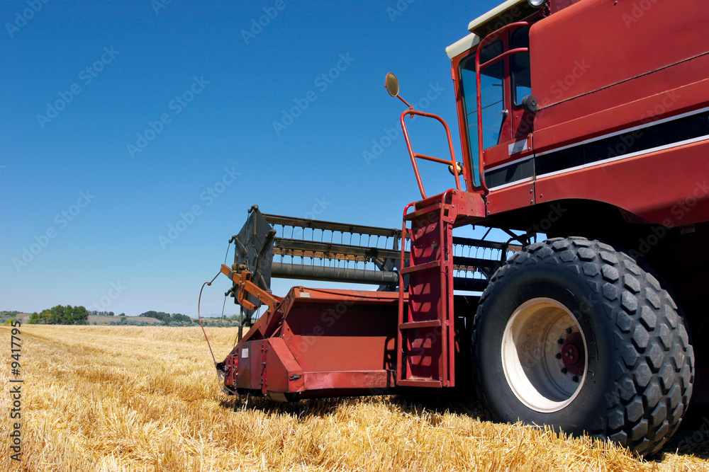 Fototapeta premium combine harvester side view close up on field