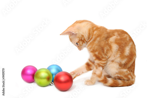Kitten playing christmas balls in isolated white background