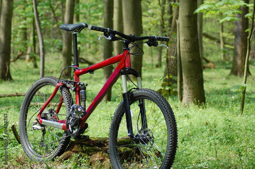 classic mountainbike which is often used in sports.