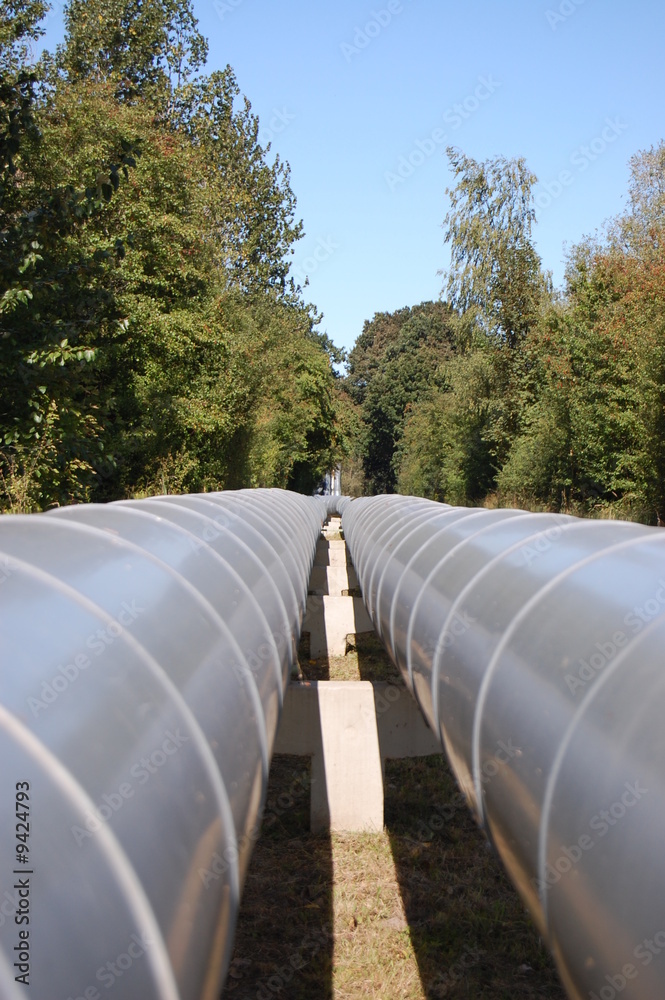 A gray pipeline crossing an old forest A gray pipeline crossing an old forest