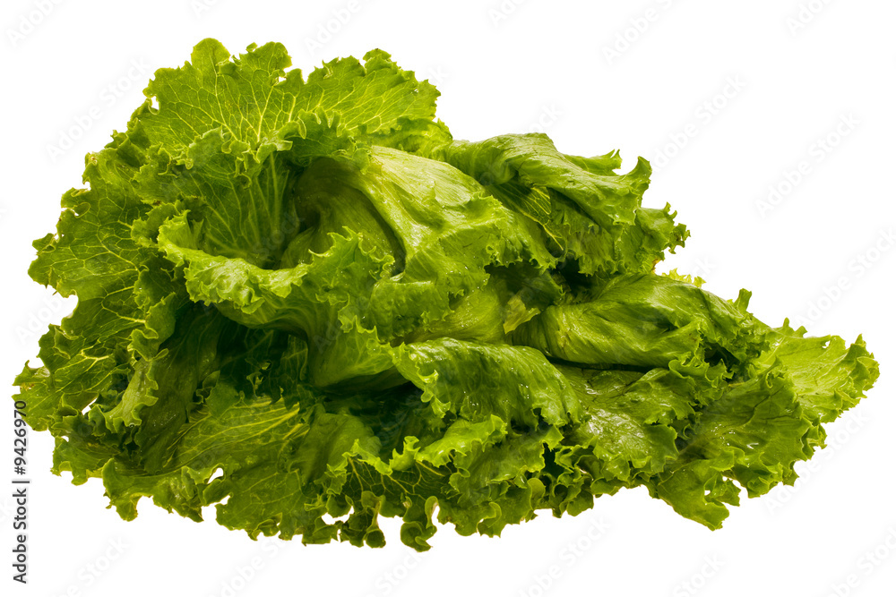 Obraz premium fresh colour lettuce taken pictures on white background