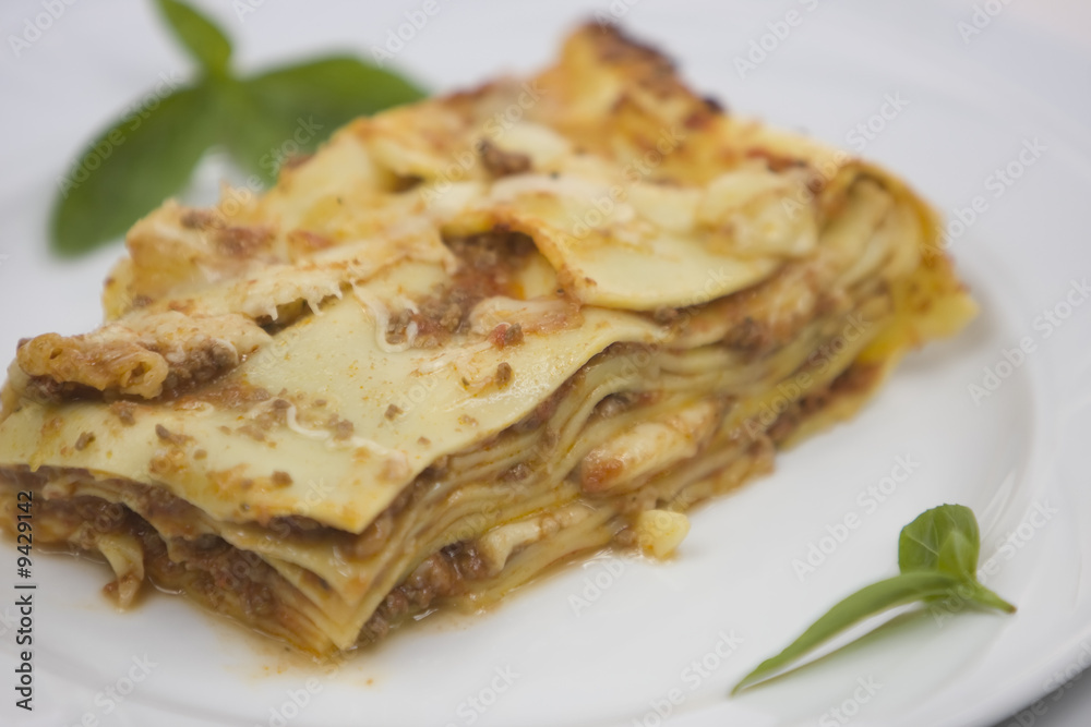 Italian speciality the lasagne cooked in the oven