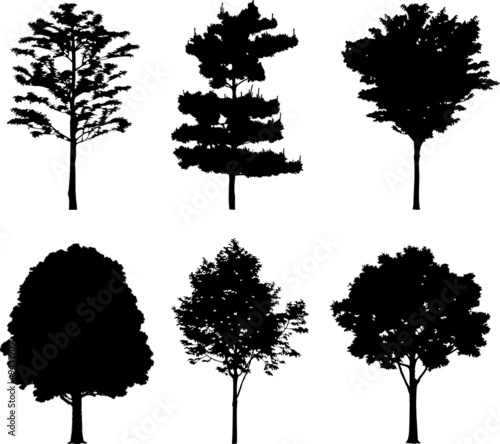 Set isolated trees. Silhouettes