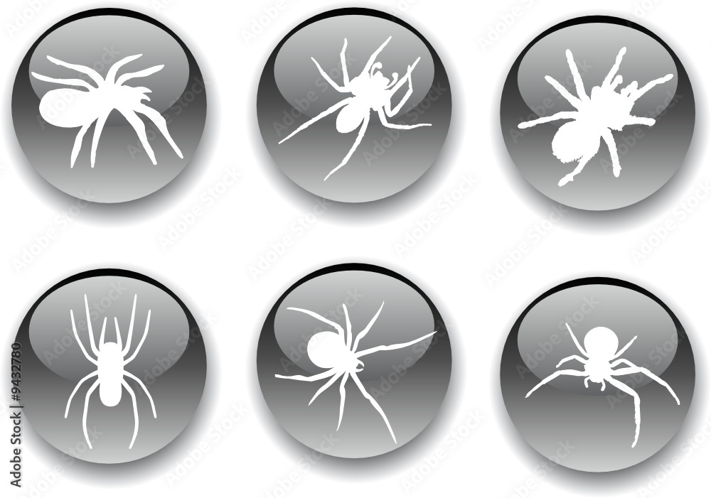 Set buttons. Spiders for Halloween Set buttons. Spiders for Halloween