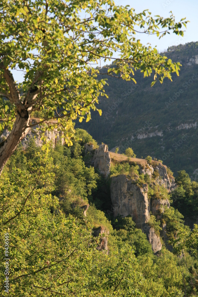 Fototapeta premium Gorges du Tarn