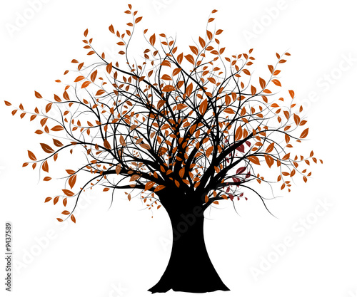 vecteur série - vieil arbre vectoriel en automne