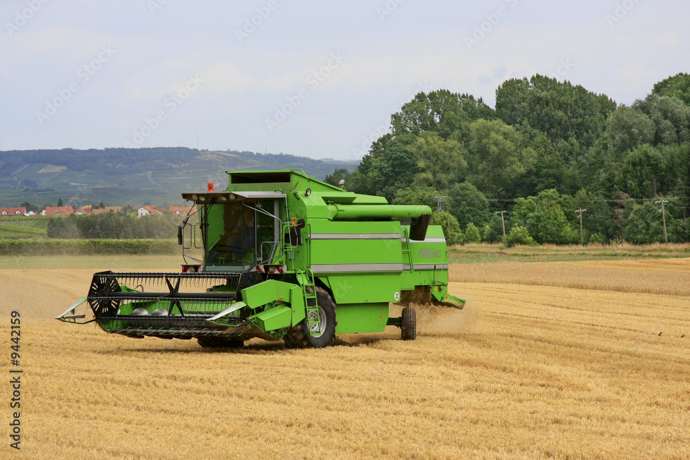 Obraz premium Maehdrescher