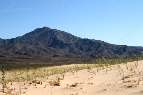Kelso Sand Dunes  Mojave Desert  California