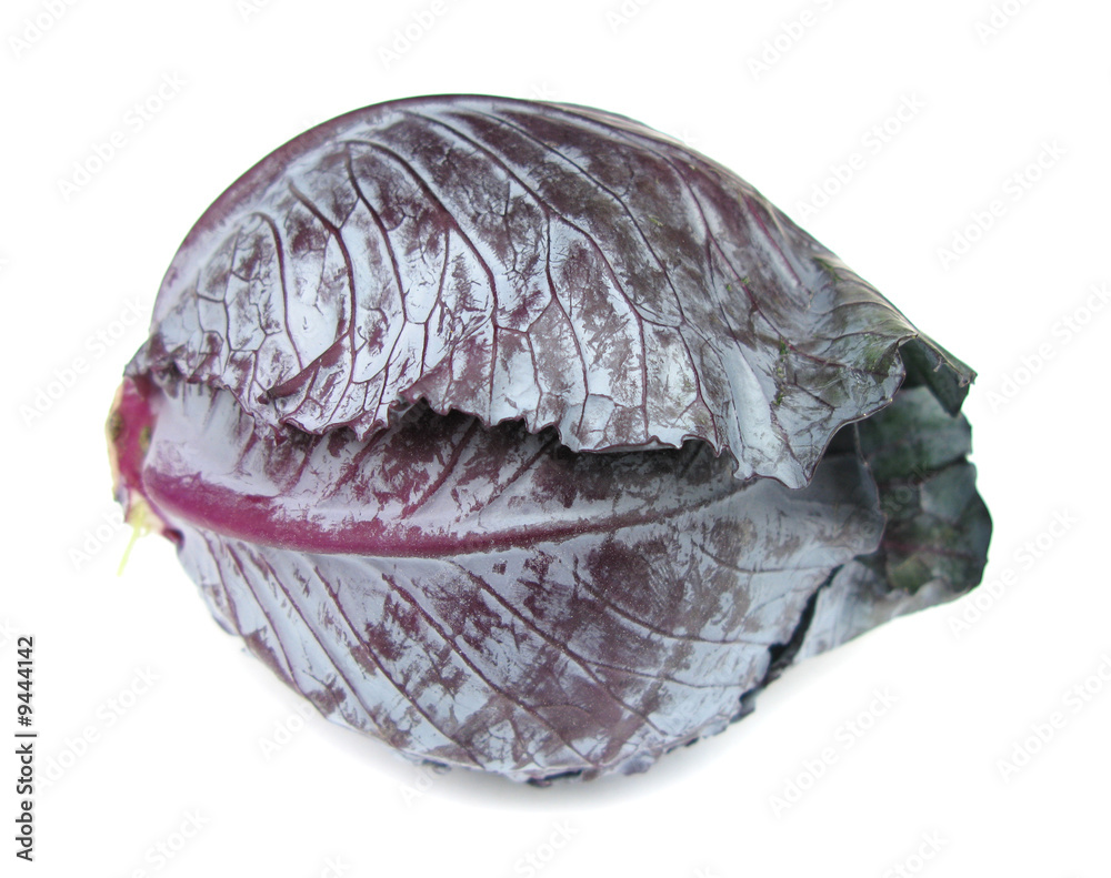 Obraz premium Cabbage
