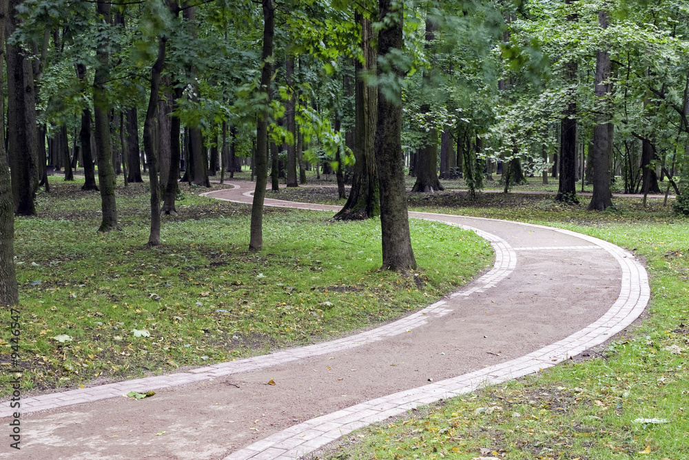 Twisting footpath in city park