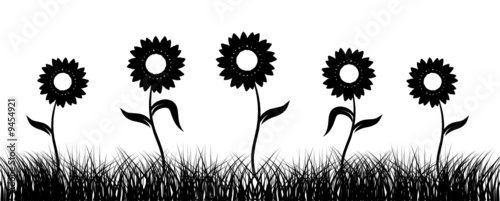 Sunflower on green field