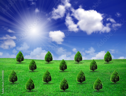Trees on green field