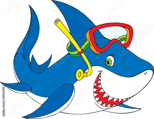 Shark diver
