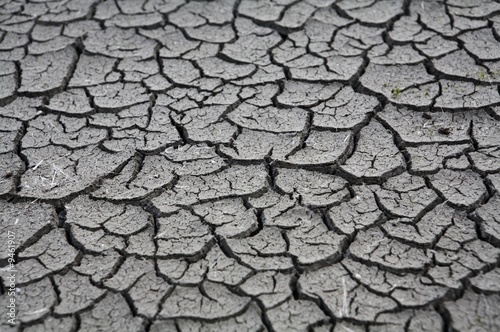 arid soil