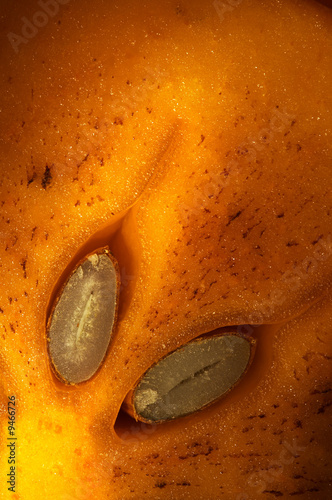 The slice of a persimmon (from the point of view0