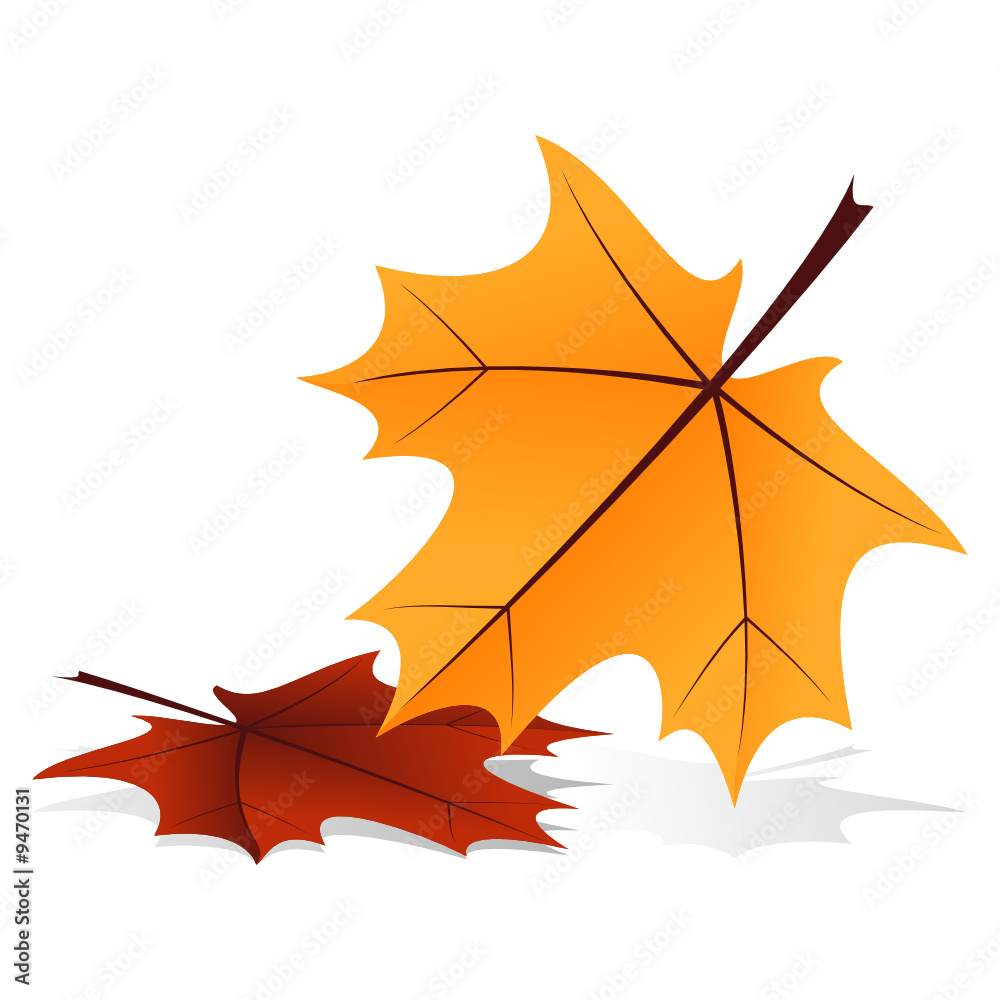 Naklejka premium Autumn icon