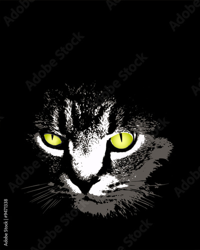 a scary cat