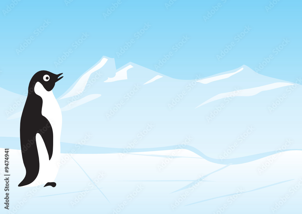 Obraz premium Penguin