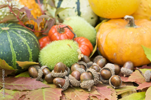 Pumpkins and acorns with fall decorative fruit