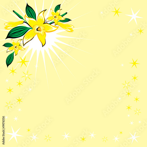 background with stars and vanilla flower