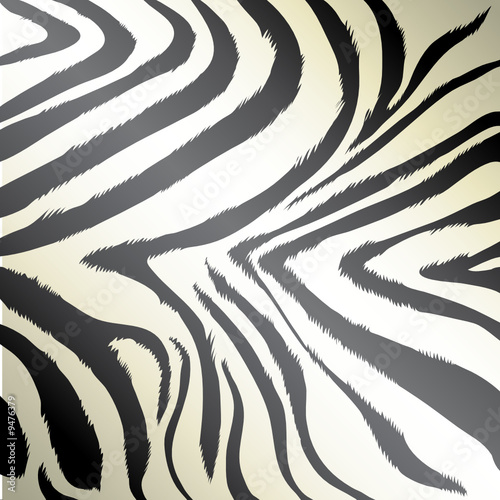 zebra fur