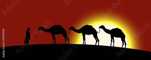 Stampa su tela The caravan of camels