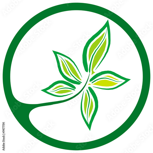 Hand drawing leaf in circle and white background